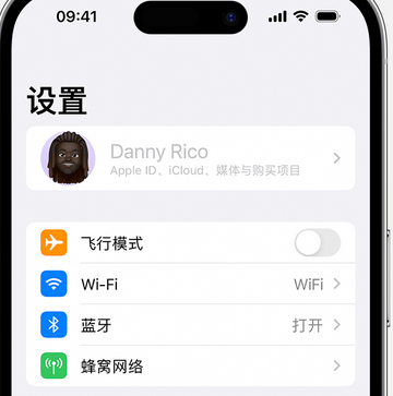 建水appleID维修服务iPhone设置中Apple ID显示为灰色无法使用