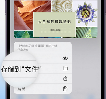 建水apple维修中心分享iPhone文件应用中存储和找到下载文件