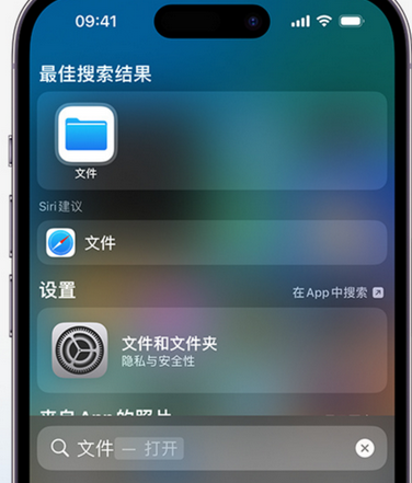 建水apple维修中心分享iPhone文件应用中存储和找到下载文件 