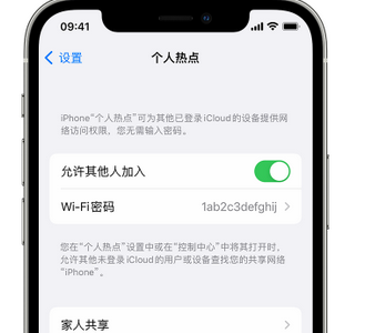 建水apple服务站点分享iPhone上个人热点丢失了怎么办 