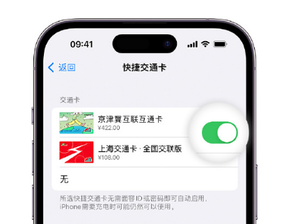 建水apple维修点分享iPhone上更换Apple Pay快捷交通卡手绘卡面 