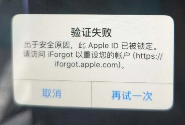 建水iPhone维修分享iPhone上正常登录或使用AppleID怎么办 