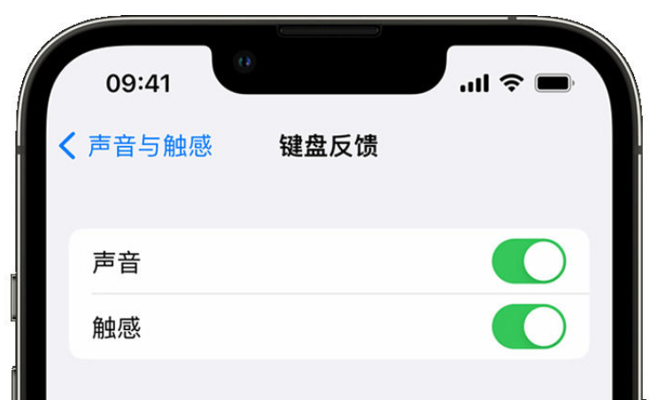 建水苹果手机维修分享iPhone 14触感键盘使用方法 