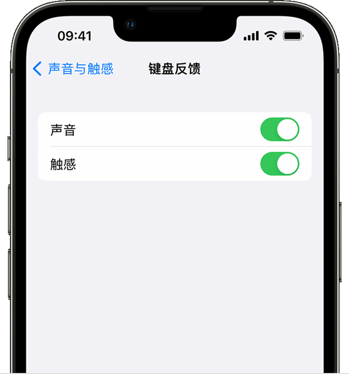 建水苹果14维修店分享如何在 iPhone 14 机型中使用触感键盘 