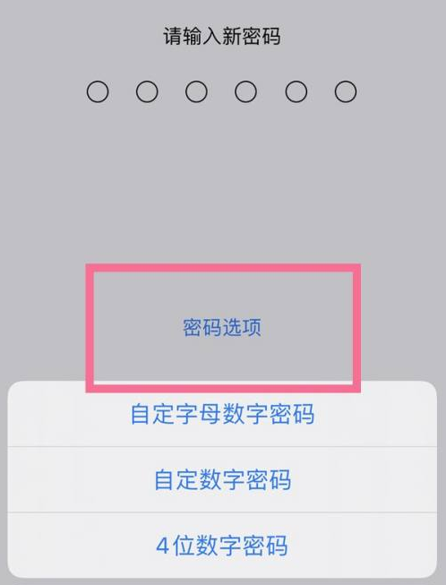 建水苹果14维修分享iPhone 14plus设置密码的方法 