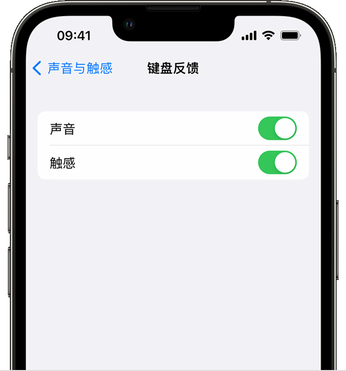 建水苹果14维修分享iPhone 14 系列机型如何开启键盘声音或触感反馈 