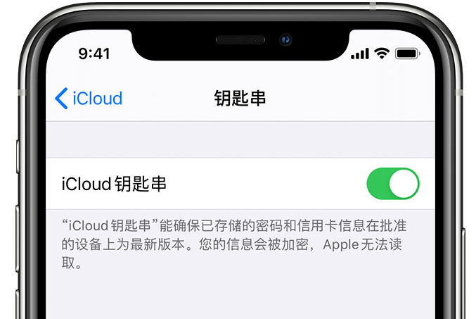 建水苹果手机维修分享在 iPhone 上开启 iCloud 钥匙串之后会储存哪些信息 