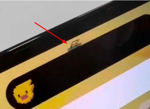 建水苹果14维修分享iPhone 14 Pro Max灵动岛怎么养宠物 