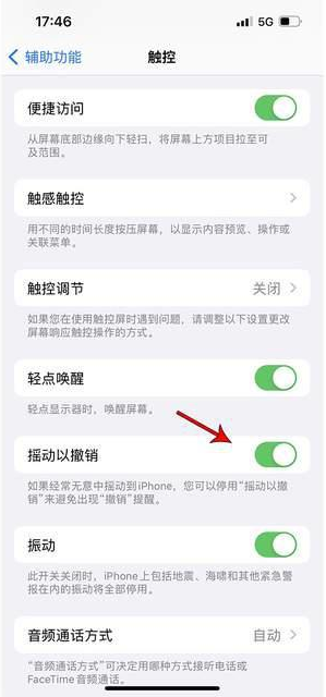 建水苹果手机维修分享iPhone手机如何设置摇一摇删除文字 