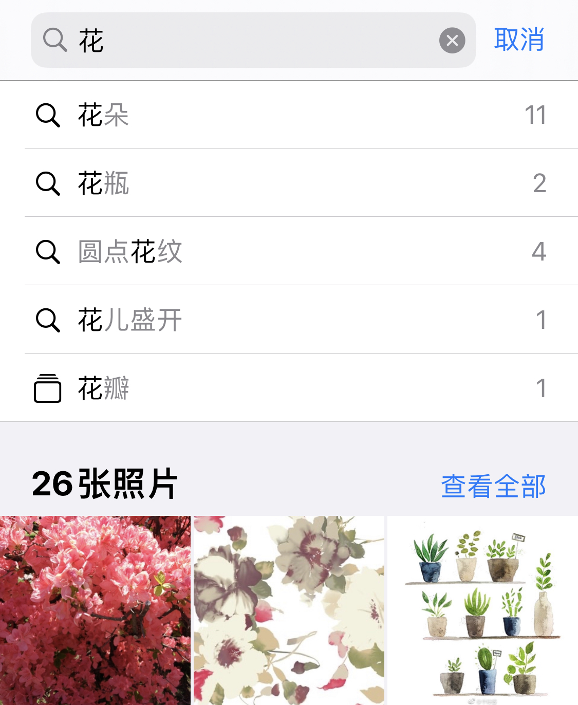 建水苹果手机维修分享iPhone 小技巧 