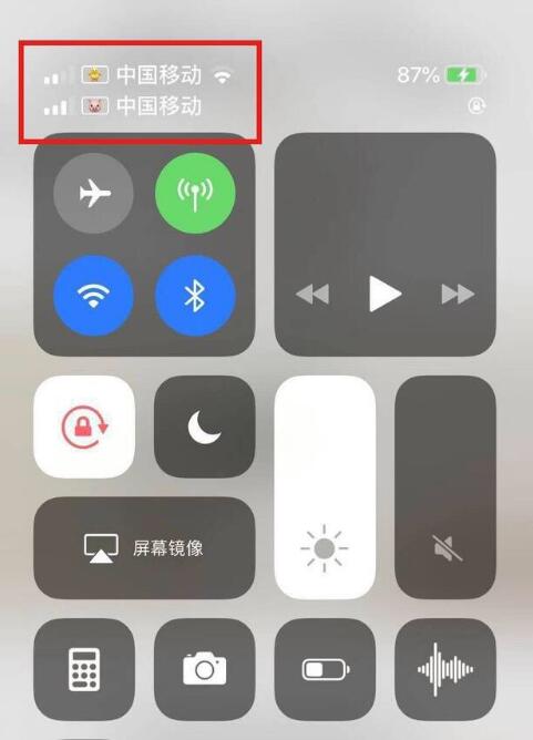 建水苹果手机维修分享为 iPhone 12 双卡设置标签 