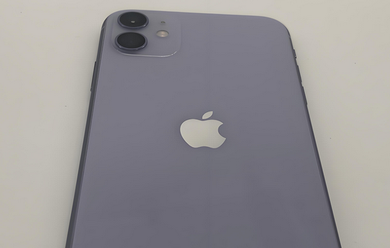 建水苹果11系统维修分享iPhone11手机系统崩溃无法开机如何解决 